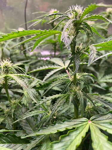 Growreport Bild 13