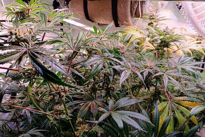 Growreport Bild 13