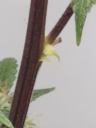 Growreport Bild 11