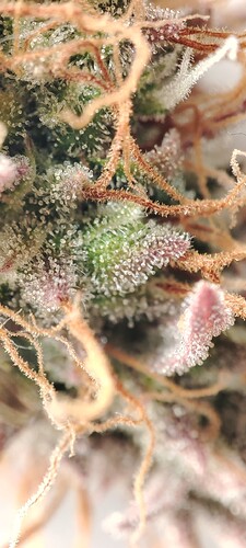 Growreport Bild 16