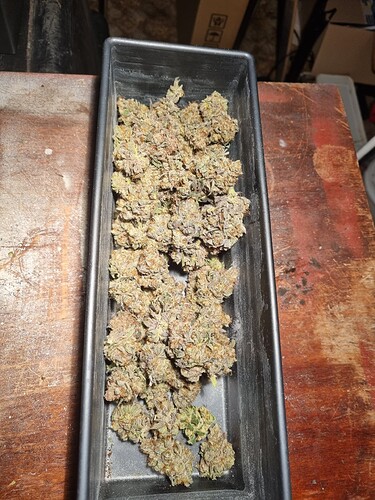 Growreport Bild 57