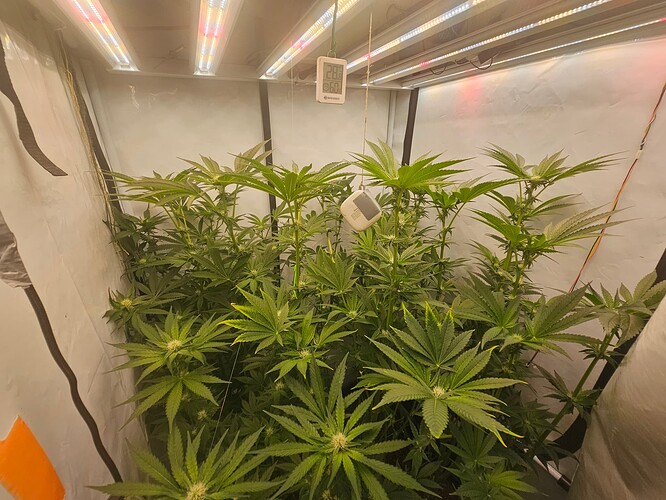 Growreport Bild 10