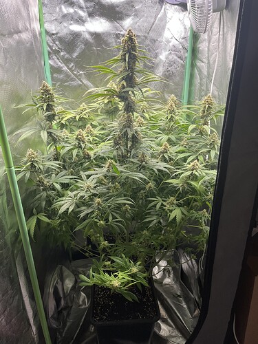 Growreport Bild 16