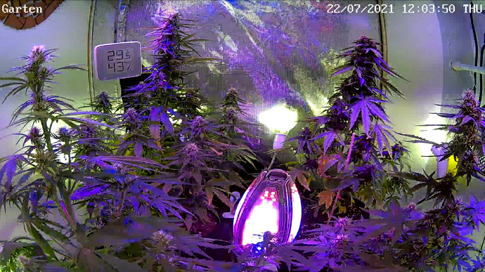 Growreport Bild 1