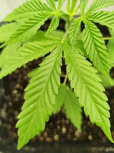 threema-20230727-192444548