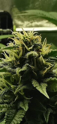 Growreport Bild 18