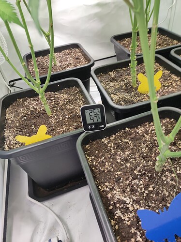 Growreport Bild 9