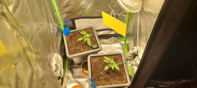 Growreport Bild 5