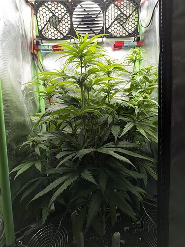 Growreport Bild 3