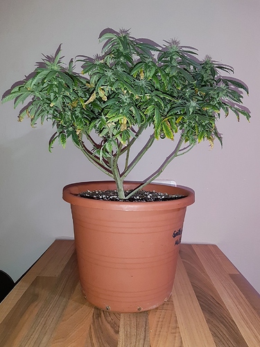 Growreport Bild 4