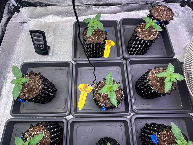Growreport Bild 3
