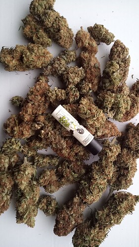 Growreport Bild 2