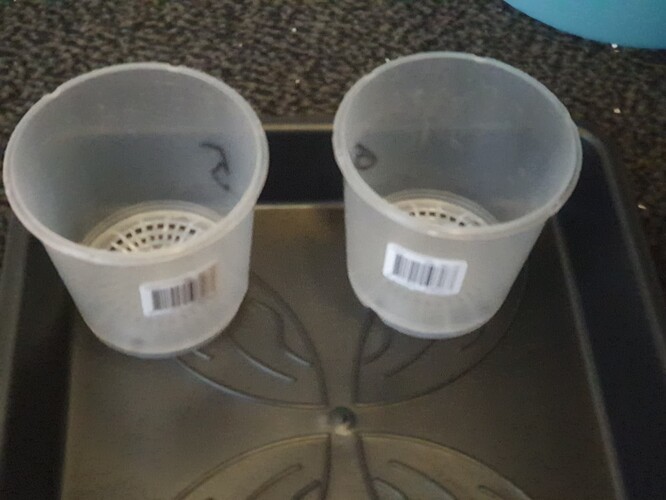 20231010_140753 - Kopie