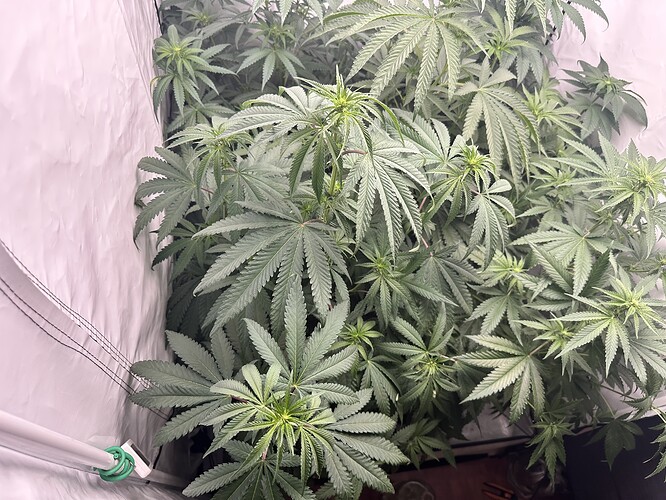 Growreport Bild 10