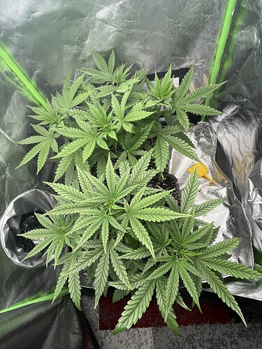 Growreport Bild 9