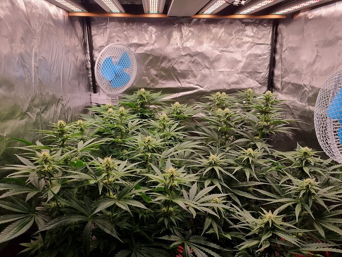 Growreport Bild 25