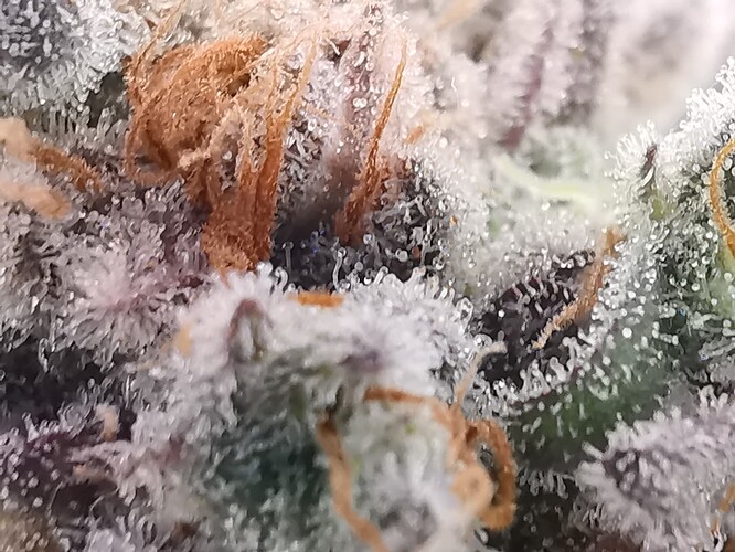 Growreport Bild 17