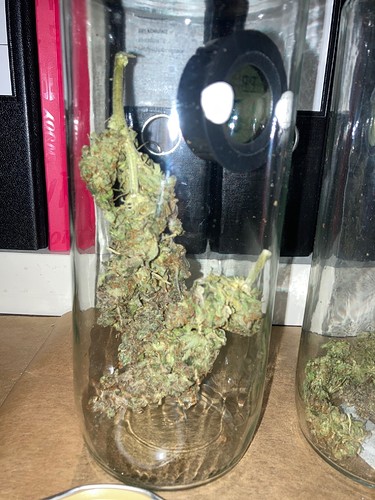 Growreport Bild 9