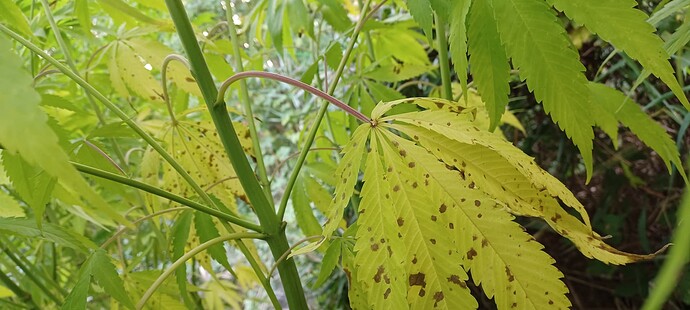 Growreport Bild 16