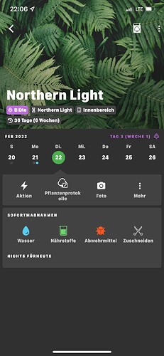 Growreport Bild 2