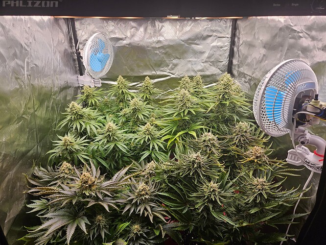 Growreport Bild 50
