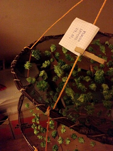 Growreport Bild 19