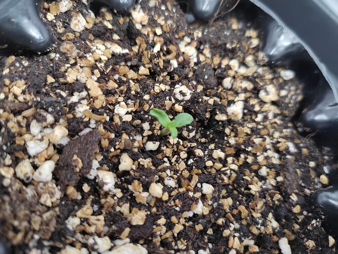 Growreport Bild 12