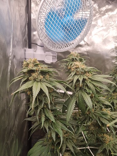 Growreport Bild 19