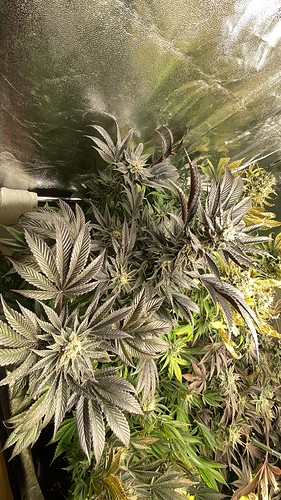 Growreport Bild 15