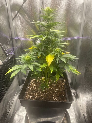 Growreport Bild 4