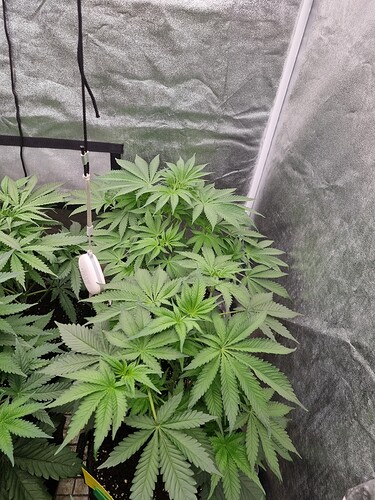 Growreport Bild 18