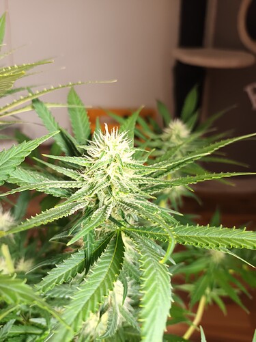 Growreport Bild 22