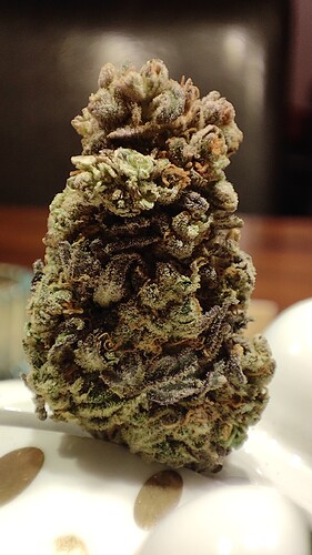 Growreport Bild 7