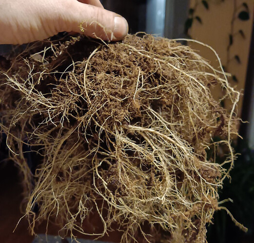 Growreport Bild 12