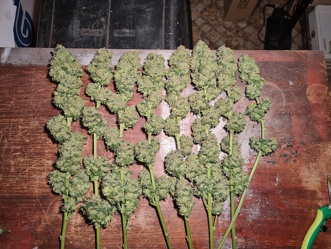 Growreport Bild 8