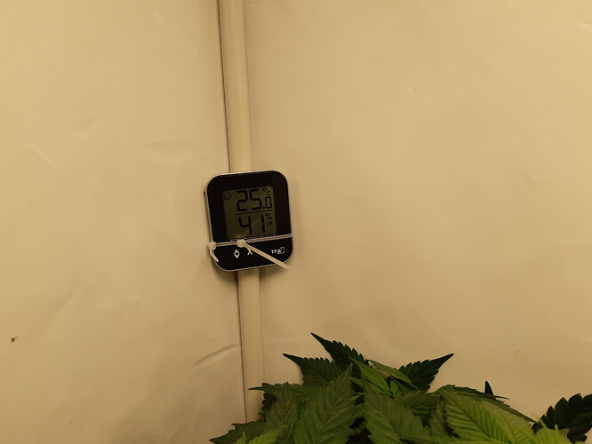 Growreport Bild 1