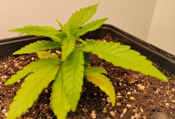 Growreport Bild 12