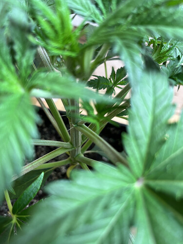 Growreport Bild 5