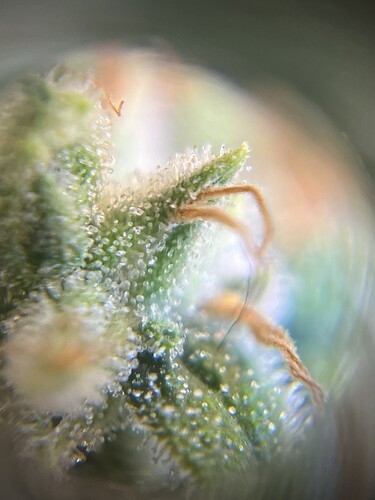 Growreport Bild 24