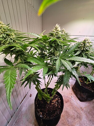 Growreport Bild 10