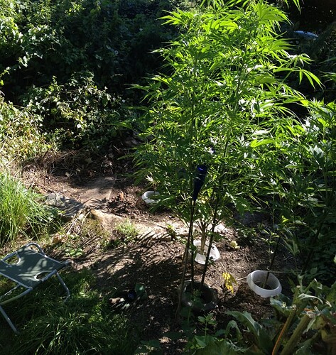 Growreport Bild 16