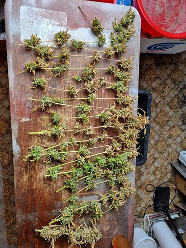Growreport Bild 2