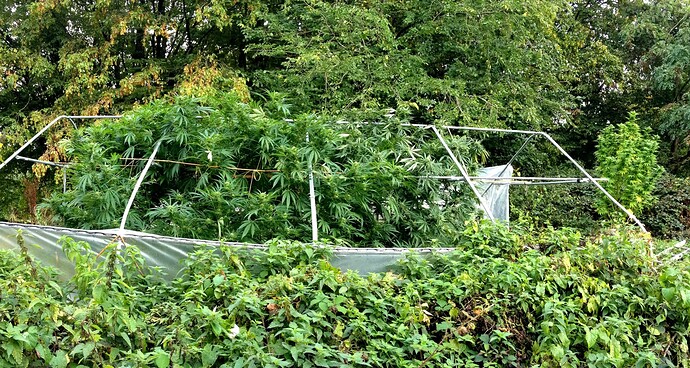 Growreport Bild 6
