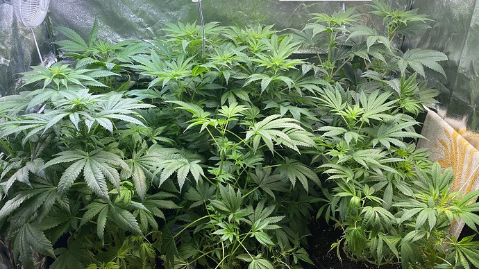 Growreport Bild 11