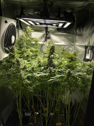 Growreport Bild 10