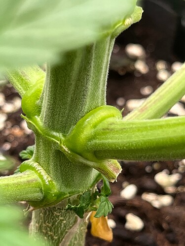 Growreport Bild 13