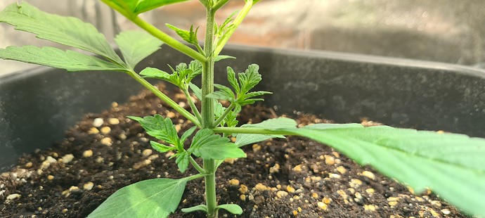 Growreport Bild 21