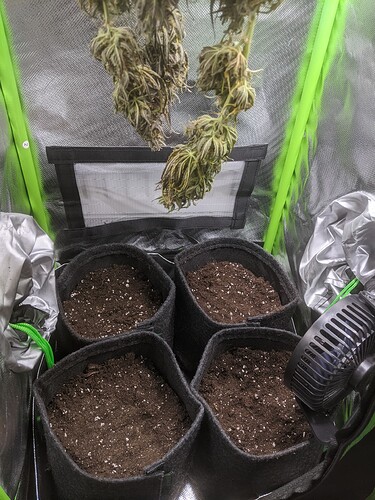 Growreport Bild 2