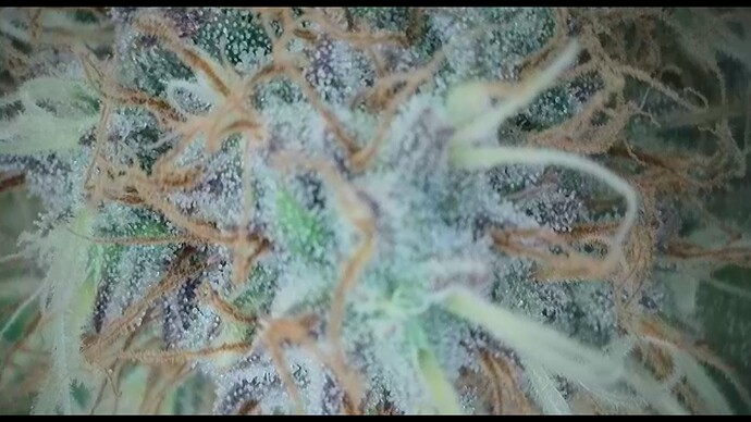 2022-06-10-172910897