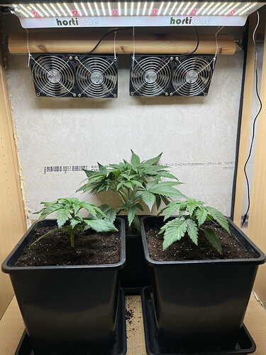 Growreport Bild 3